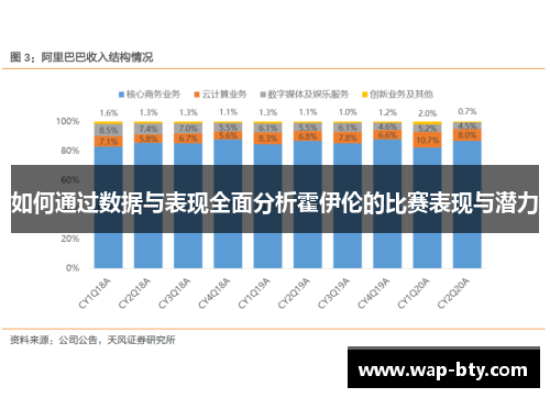 如何通过数据与表现全面分析霍伊伦的比赛表现与潜力