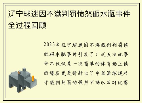 辽宁球迷因不满判罚愤怒砸水瓶事件全过程回顾