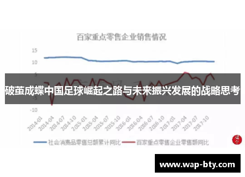 破茧成蝶中国足球崛起之路与未来振兴发展的战略思考